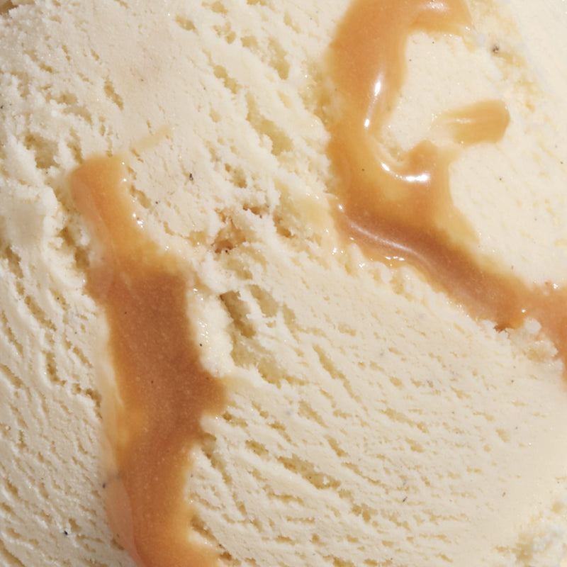 Vanilla Custard with Butterscotch Swirls